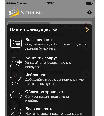 Логотип и иконка для iOS-приложения Nomini - дизайнер djei