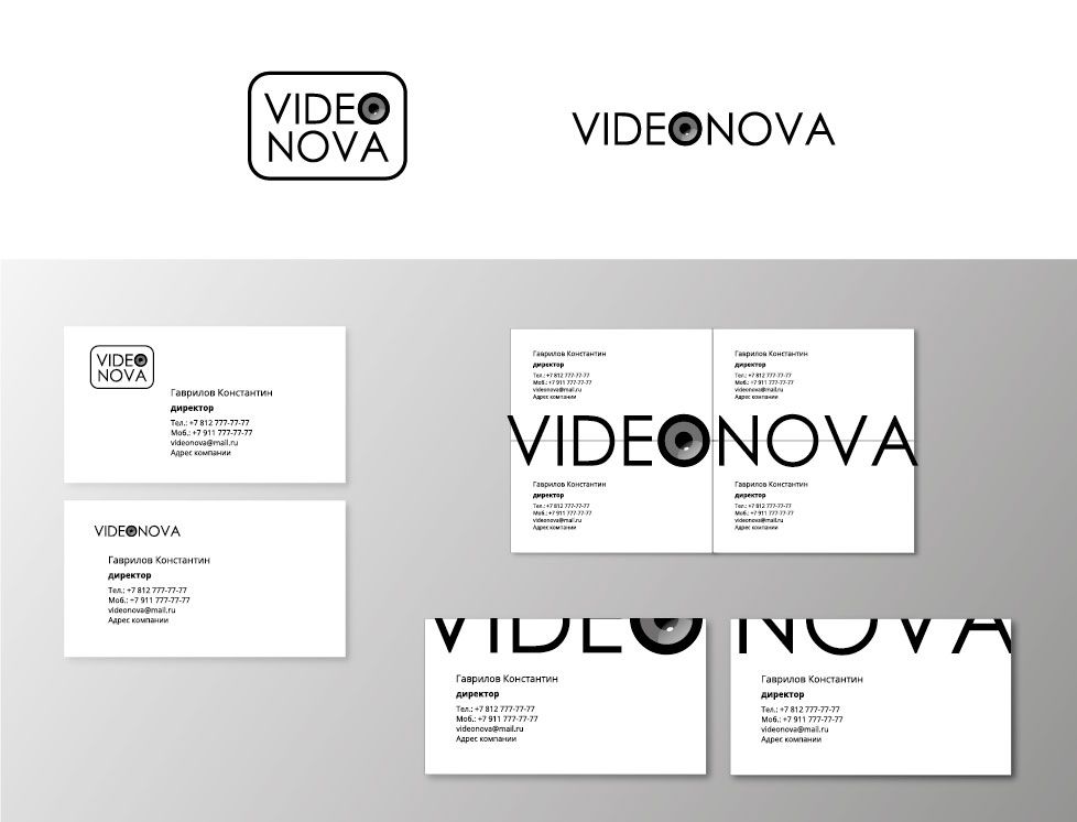 Логотип сайта по установке систем видеонаблюдения - дизайнер LenaNilovna