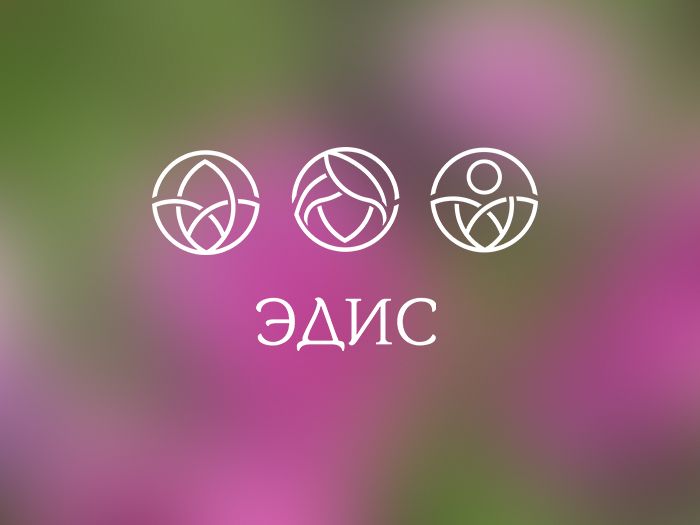 Три логотипа для Эдис - дизайнер Shushpan