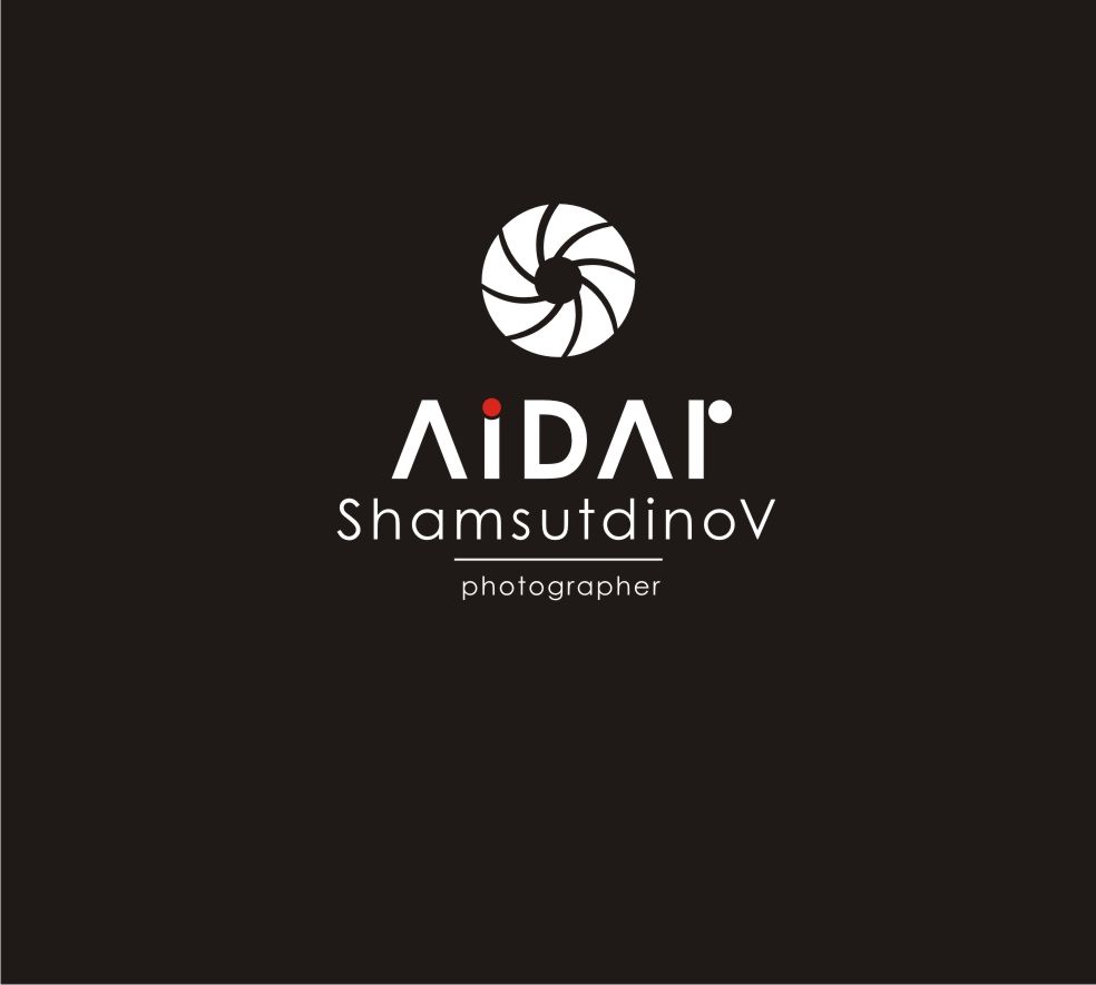 Логотип для фотографа - дизайнер DINA