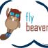 Дизайн логотипа для ИТ-компании flybeaver - дизайнер realizeit