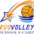 Логотип для школы волейбола (победителю - бонус) - дизайнер biggstep652992
