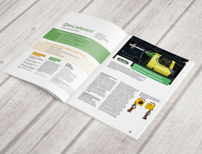 Дизайн брошюры/каталога (8-10 страниц) - дизайнер mit-sey
