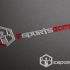 Логотип для киберспортивного (esports) сайта - дизайнер markosov