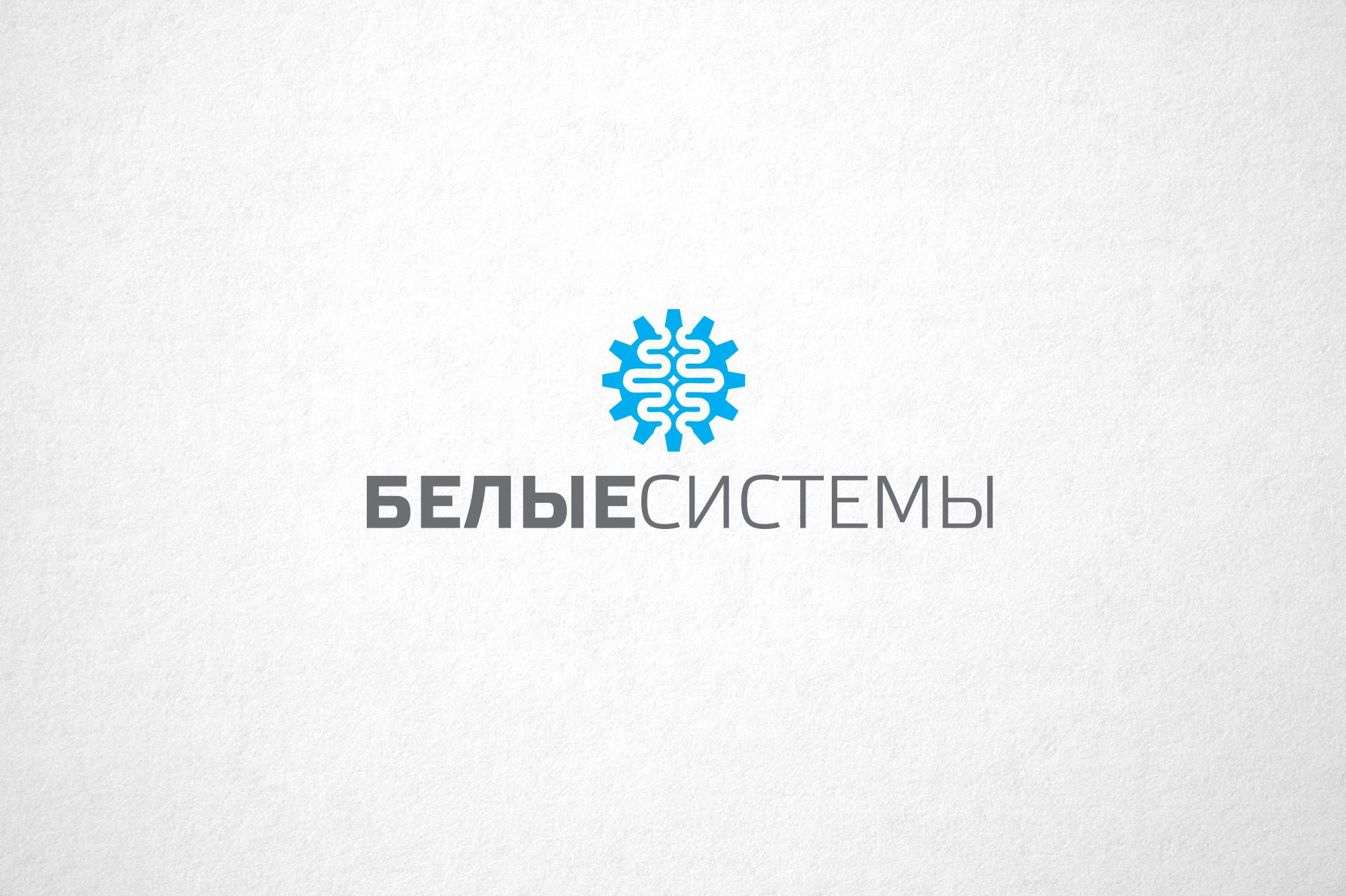 Логотип для SEO компании - дизайнер funkielevis