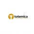 Лого и ФС для ИМ подарков Totemica - дизайнер jampa