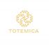 Лого и ФС для ИМ подарков Totemica - дизайнер Antonska