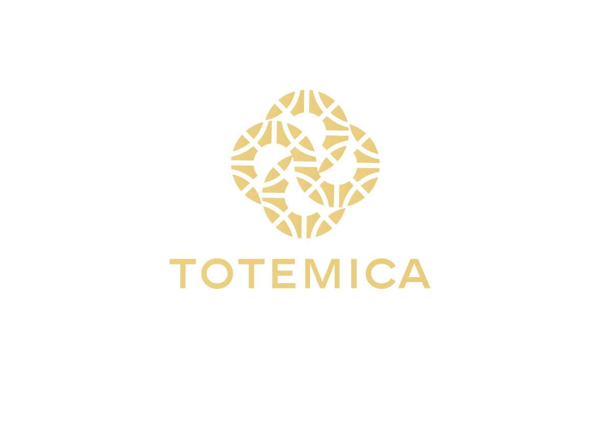Лого и ФС для ИМ подарков Totemica - дизайнер Antonska