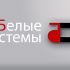 Логотип для SEO компании - дизайнер SKNDR