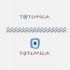 Лого и ФС для ИМ подарков Totemica - дизайнер anap4anin