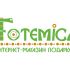 Лого и ФС для ИМ подарков Totemica - дизайнер Angrain