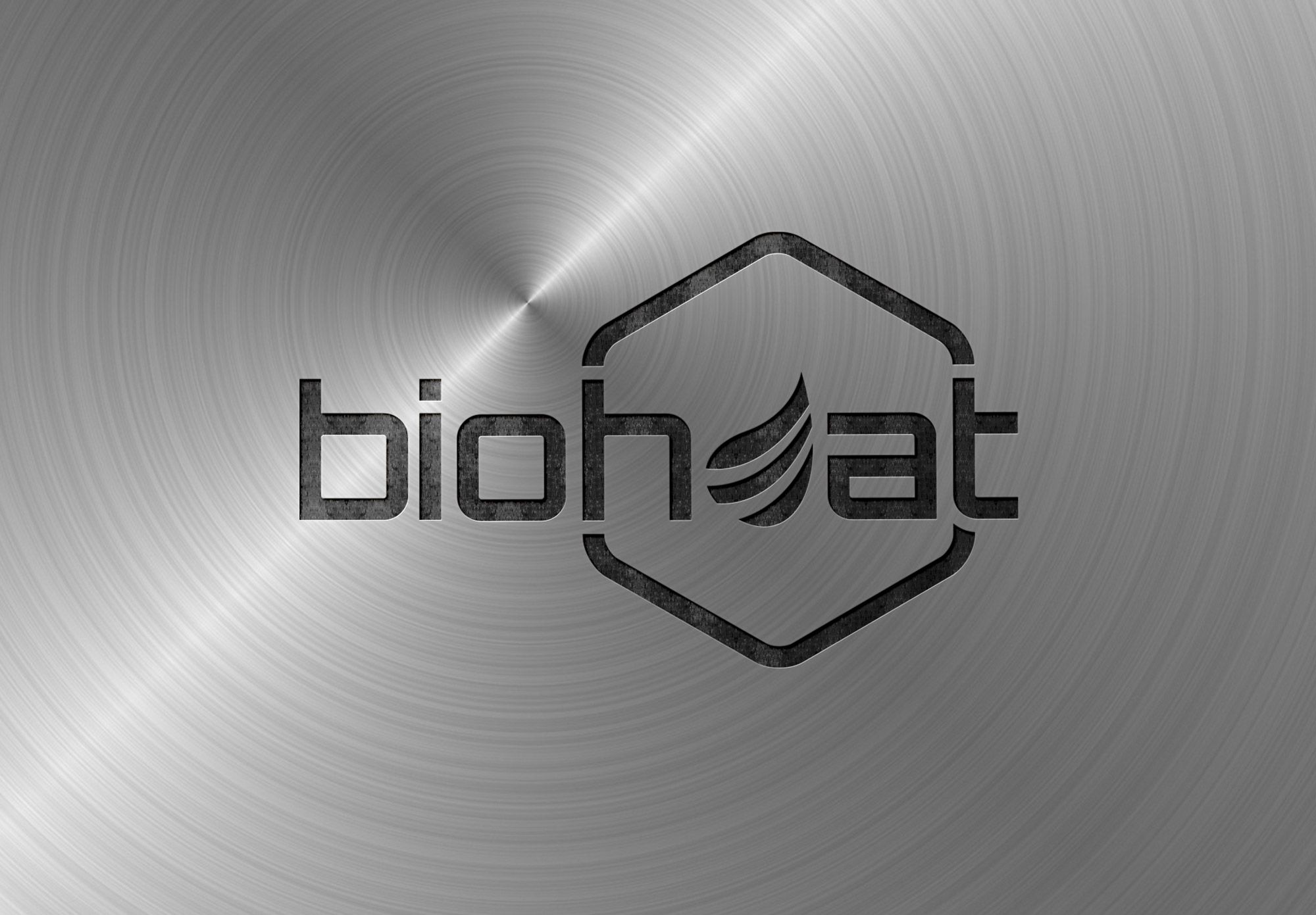 Логотип для мини-печек Биохит - дизайнер Ninpo