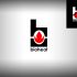 Логотип для мини-печек Биохит - дизайнер webgrafika
