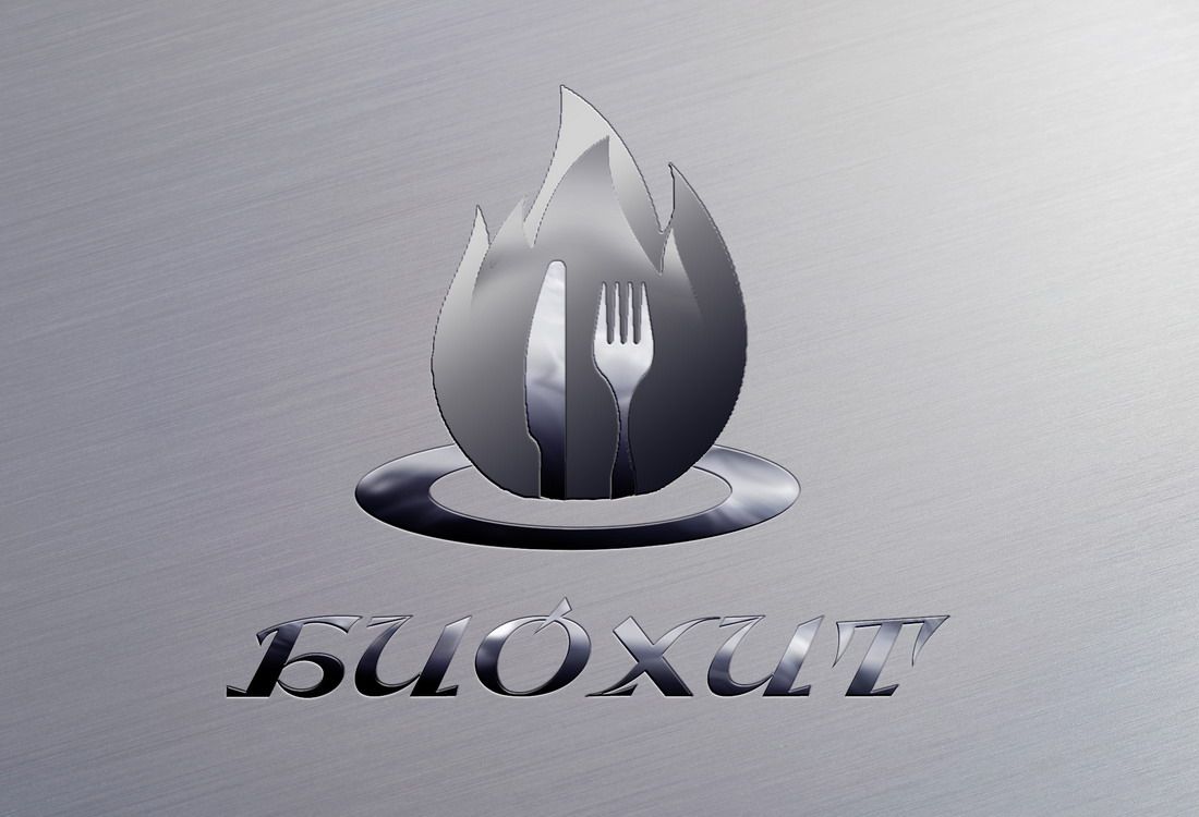 Логотип для мини-печек Биохит - дизайнер Beysh