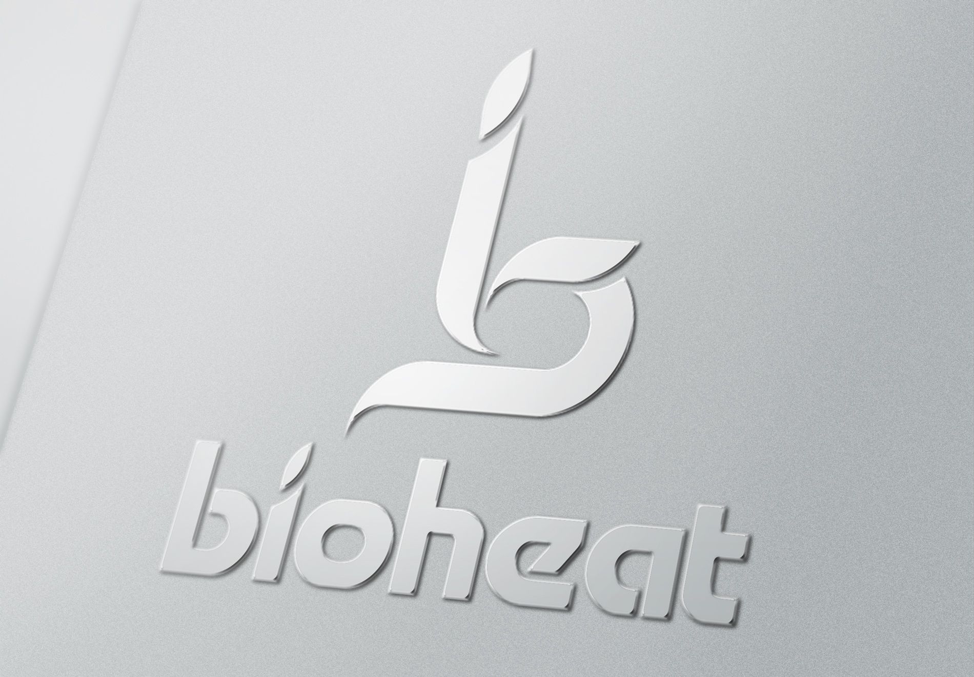 Логотип для мини-печек Биохит - дизайнер Maslaev