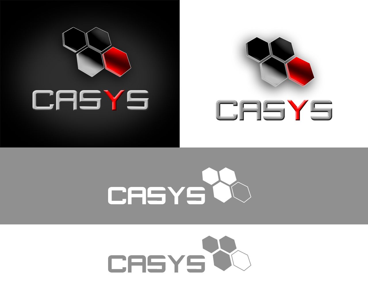 Логотип для системного интегратора CASYS - дизайнер CreateForYou