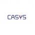 Логотип для системного интегратора CASYS - дизайнер flashbrowser