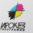 Редизайн лого и дизайн ФС для типографии Ирокез - дизайнер Advokat72