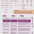 Инфографика по банкротству юридических лиц - дизайнер a-lesja91