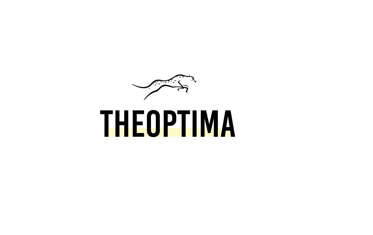 Логотип и ФС для компании Оптима - дизайнер BeSSpaloFF