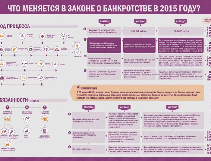 Инфографика по банкротству юридических лиц - дизайнер a-lesja91