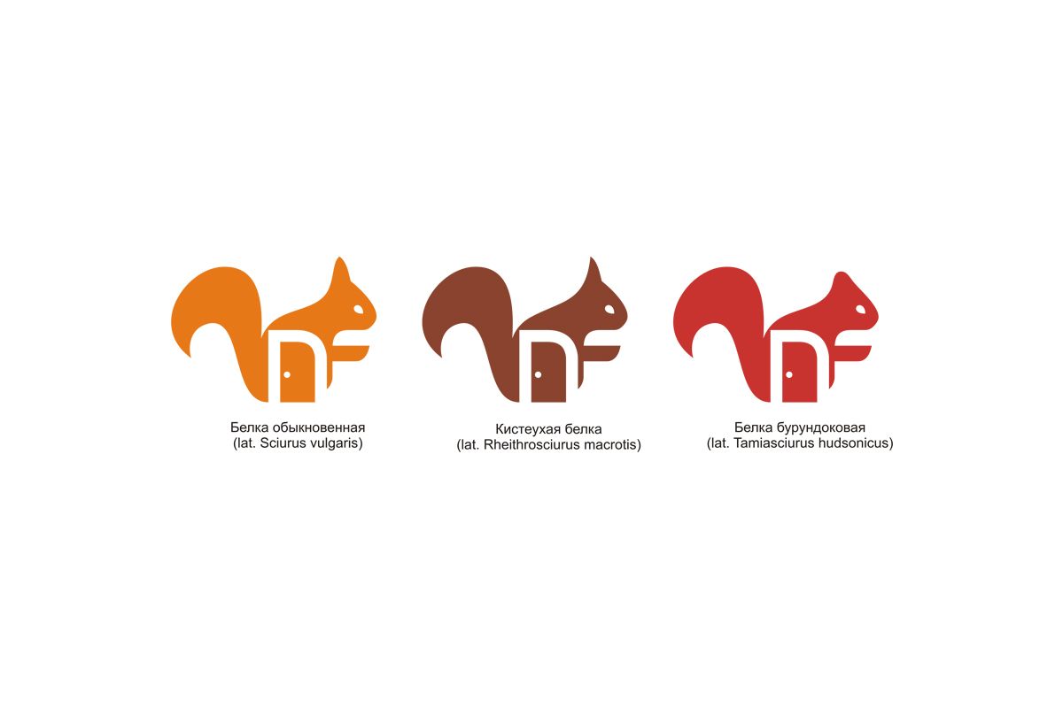 Логотип и ФС для магазина паркетов и дверей - дизайнер vision