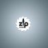 Логотип и ФС для ZIP Market - дизайнер mess