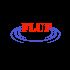 Логотип для IT компании и сайта - дизайнер Shura2099