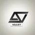 Логотип компании NSART - дизайнер mess