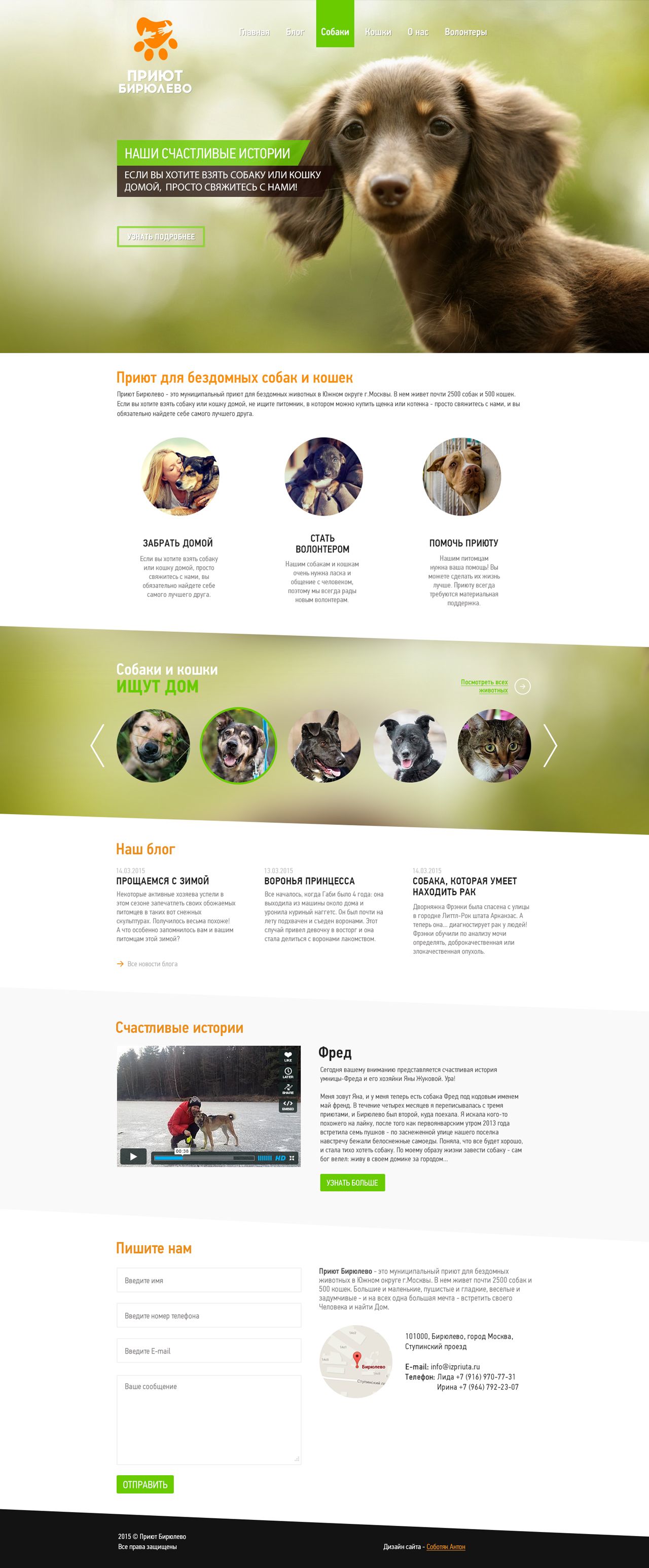 Дизайн сайта приюта для бездомных животных - дизайнер Qesoart