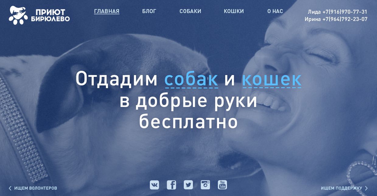 Дизайн сайта приюта для бездомных животных - дизайнер kirf