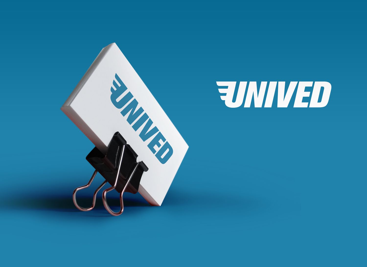 Логотип для логистической компании Unived - дизайнер VitaliGisko