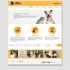 Дизайн сайта приюта для бездомных животных - дизайнер natashazeee