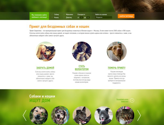 Дизайн сайта приюта для бездомных животных - дизайнер Qesoart