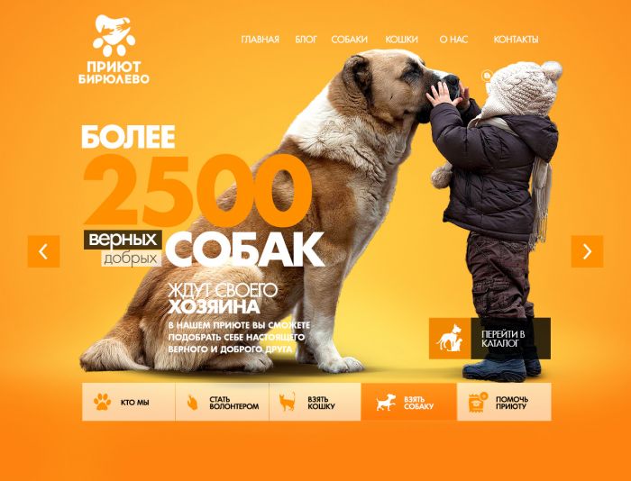 Сайт приют друг. Реклама приюта для животных. Социальная реклама приюта. Плакат приюта. Социальная реклама приюта для собак.