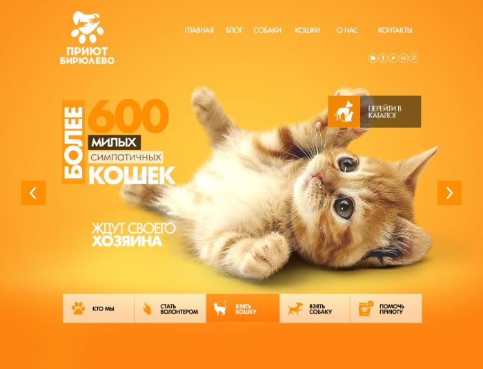 Дизайн сайта приюта для бездомных животных - дизайнер elvisio