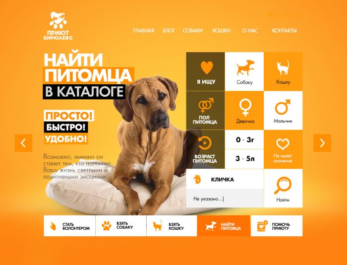 Дизайн сайта приюта для бездомных животных - дизайнер elvisio