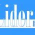 Логотип новостного бизнес сайта Lider.ru - дизайнер nordman84