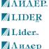 Логотип новостного бизнес сайта Lider.ru - дизайнер EnverS