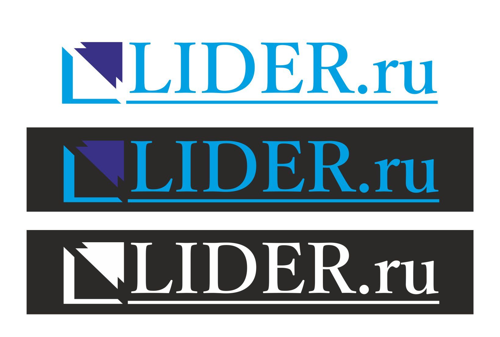 Логотип новостного бизнес сайта Lider.ru - дизайнер denitsa