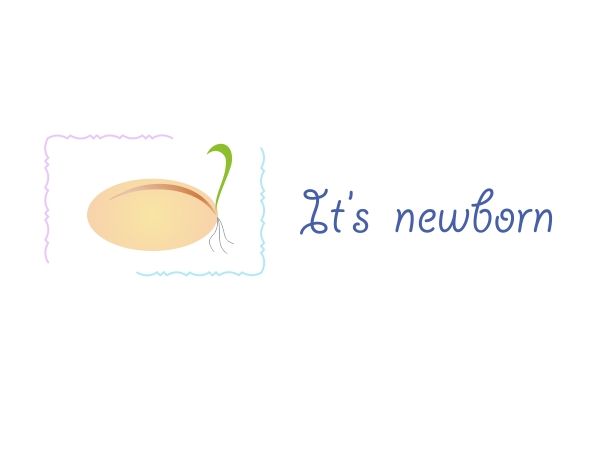 Логотип и фс для фотографа новорожденных - дизайнер mit60