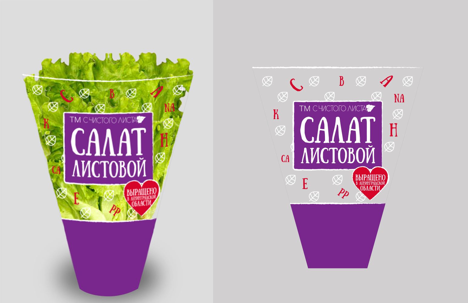 Упаковка для салата в горшочке от ООО Круглый Год - дизайнер Vladlena_A