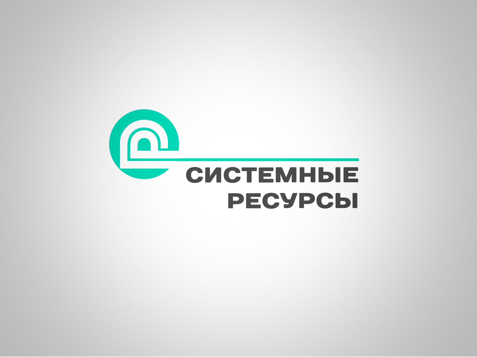 Логотип для Системные ресурсы - дизайнер KaterinaPl