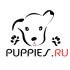 Логотип для Puppies.ru  или  Puppies - дизайнер Tantrum