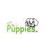 Логотип для Puppies.ru  или  Puppies - дизайнер masya75
