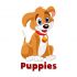 Логотип для Puppies.ru  или  Puppies - дизайнер Express