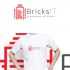 Логотип для Bricks IT - дизайнер GreenRed