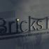 Логотип для Bricks IT - дизайнер splinter7