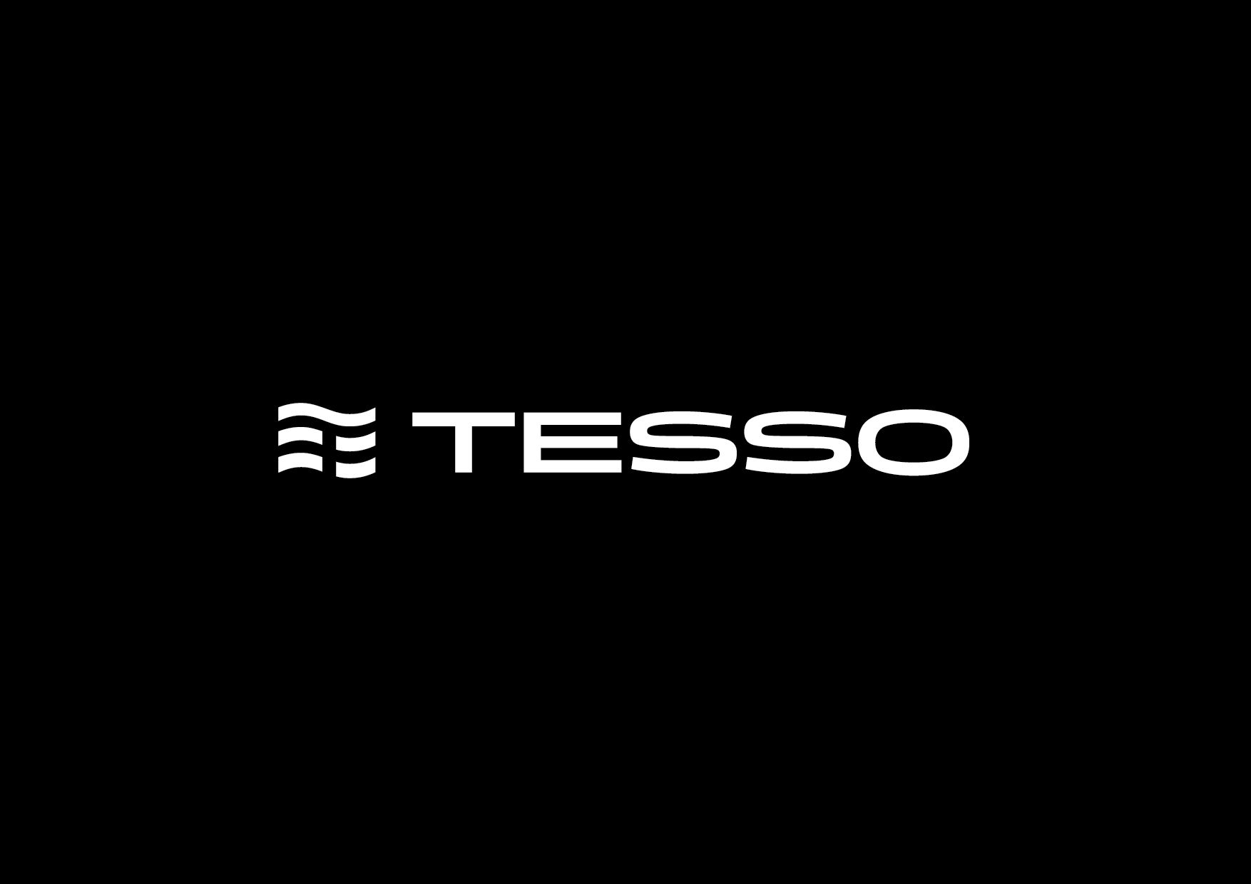 Логотип для TESSO - дизайнер grrssn