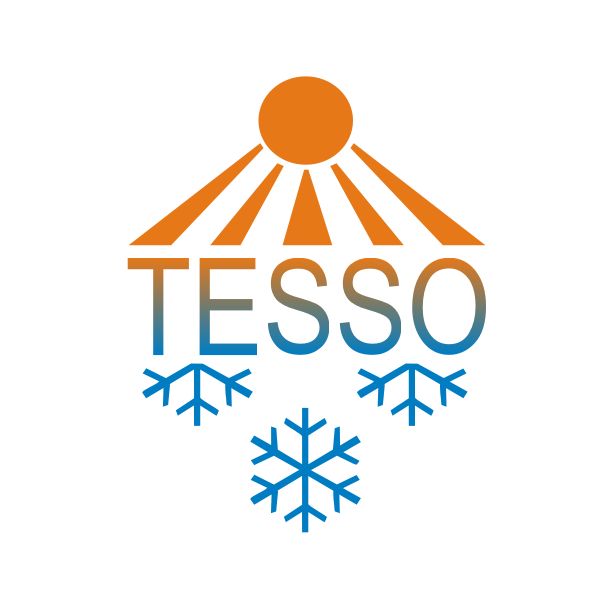 Логотип для TESSO - дизайнер avisdecor